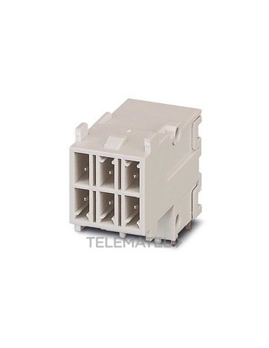 INSERTO DE CONTACTOS VC-AML 6