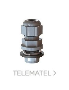 PTOPAS.GADI-QUICK M20 PA ANCLRP.3/13 NG