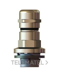 PTOPAS.EMC GADI-QUICK M20 LN ANCLRP.6/12