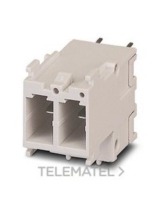 INSERTO DE CONTACTOS VC-AMLV 2