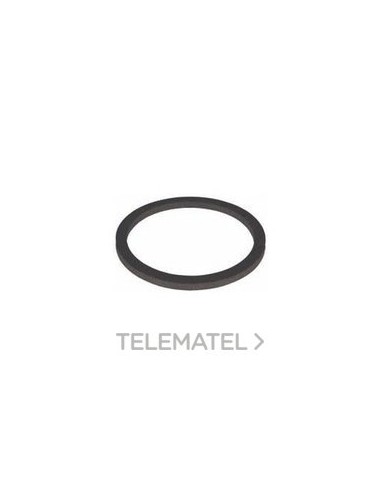 JUNTA PLANA PERBUNAN Pg29