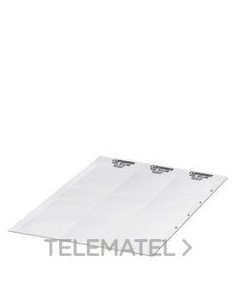 TIRA DE ROTULACIÓN ESL 62X46