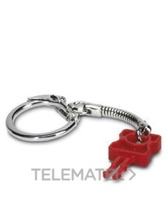 LLAVE P/EL.SEG.FL PATCH GUARD KEY