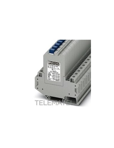 INT.PROT.UT 6-TMC M 12A AP.TERMAGN.