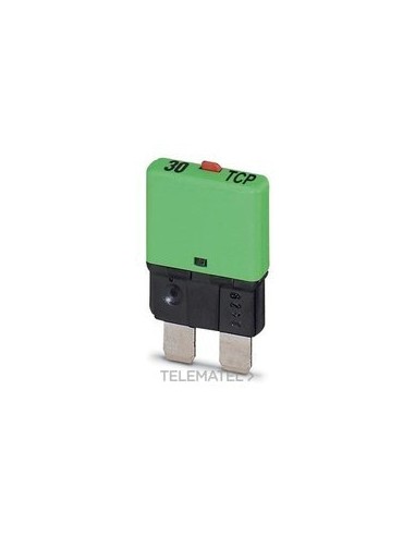 INTERRUPTOR PROT.AP.TMCO.TCP 30/DC32V