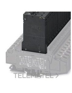 INT.PROT.TMCP 1 M1 300 10,0A AP.TERMAGN.