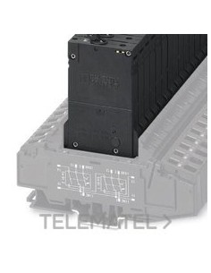 INT.PROT.TMCP 1 M1 300 6,0A AP.TERMAGN.