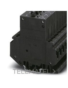 INT.PROT.TMC 2 F1 120 5,0A AP.TERMAGN.