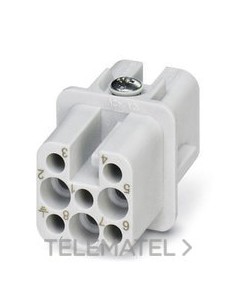 INSERTO HEMBRA HC-D8-I-CT-F