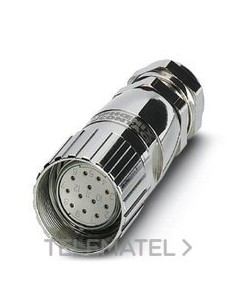 HEMBRA CX.V-RC/TGUM 11/KVD 11/LBL 12