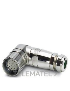 HEMBRA CX.V-RC/TWUM 11/KVD 11/LBL 12