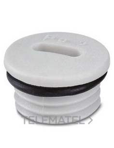 TORN.CIE.A-INSP-PG7-65N-P-LG GR LUMIN