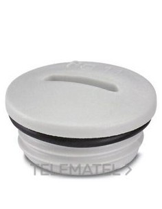 TORN.CIE.A-INSP-PG11-65N-P-LG GR LUMIN