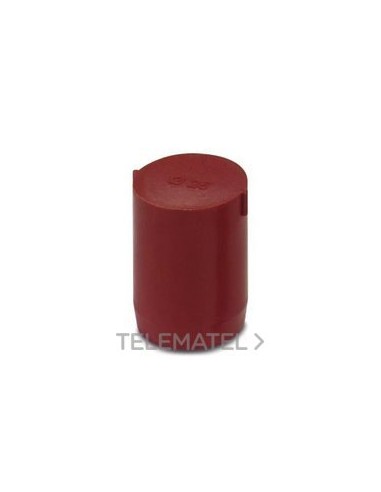 TAPÓN PRECINTADO SEALING PLUG 25X30 RD