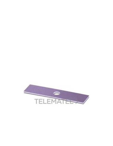 RÓTULO INSERTABLE PMST (10X38) VT