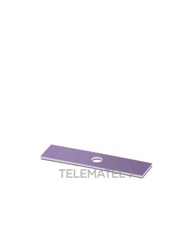 RÓTULO INSERTABLE PMST (9X38) VT