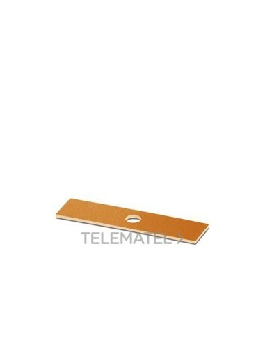 RÓTULO INSERTABLE PMST (9X38) OG