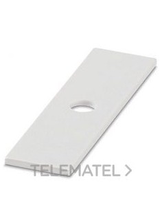 RÓTULO INSERTABLE PMST (10X38)