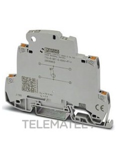 PROT.BASTA CONTRA SBT