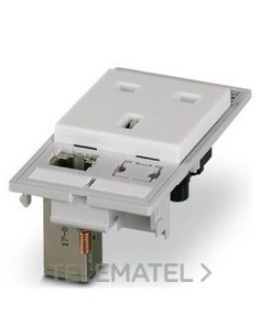 PLACA FRONTAL VS-FP-SD-GB-RJ456A-BUBU