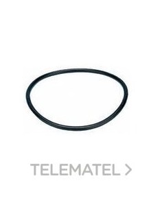 ARANDELA PERBUNAN Pg29