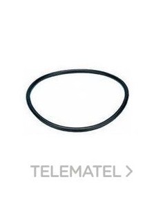 ARANDELA PERBUNAN Pg42