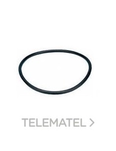 ARANDELA PERBUNAN Pg21