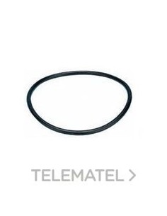 ARANDELA PERBUNAN Pg16