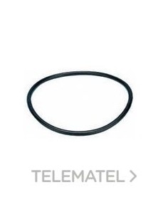 ARANDELA PERBUNAN Pg13,5