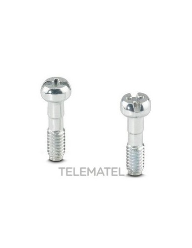 JUEGO DE TORNILLOS SCREW M3X10 H1L