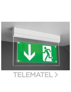 SIGNAL 50lm/1h/IP20 DALI Aluminio