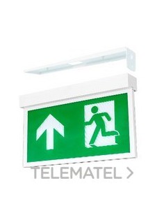 SOP.BAND.PERP.PARED EXTRALINE