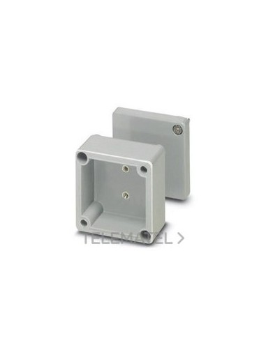 CAJA BORNES E PE A 55X55X59 TP.ATLLDA.