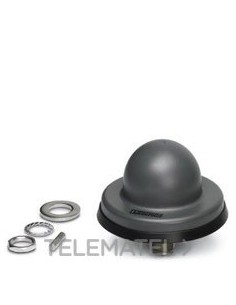 ANTNOMND.RAD-ISM-2459-ANT-FOOD-6-0-N