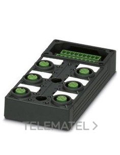 CJ.SACB-6/12-L-C GG SCO P SOR