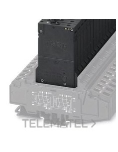 INT.PROT.TMCP 1 M1 300 2,0A AP.TERMAGN.