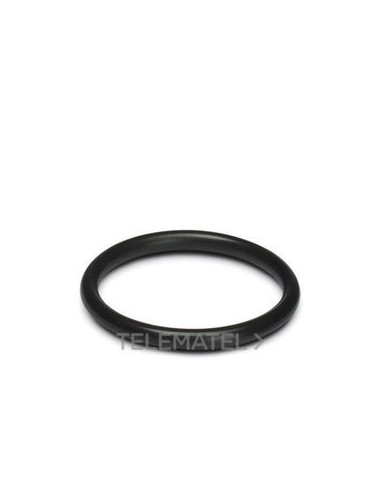 ANILLO OBTURADOR WP-OR PG11