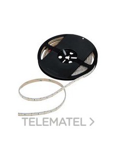 TIRA LEDFLEX SIMON 810.62 6500K IP20 240