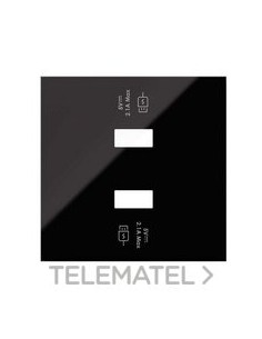 TP.CAR.USB SIMON 100 2 BOCAS CGA.RAP.NG