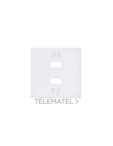 TP.CAR.USB SIMON 100 2 BOCAS CGA.RAP.BLM