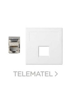 PL.V&D PNA.SG SIMON 500 CIMA 1 CTR.6FTP