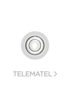 DOWNL.EMPT.SIMON HOLE 50 TLESS.CRI98