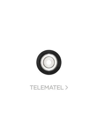 DOWNL.EMPT.SIMON HOLE 50 TLESS.CRI98