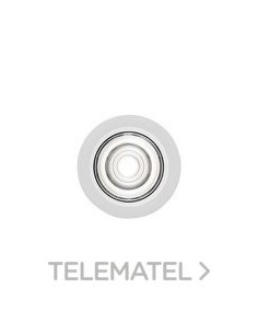 DOWNL.EMPT.SIMON HOLE 50 TLESS.CRI98