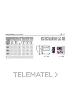 CAJA 9 ELEMENTOS 2 TOMAS 3P+T 16A 380V