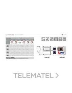 CAJA 9 EL.2 T.2P+TT LAT.16A 250V