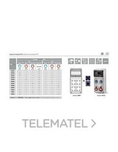 CAJA 8 EL.4 T.2P+TT LAT.16A 250V