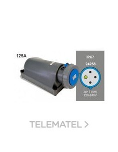 BASE PARED 3P+T 125A 230V IP67