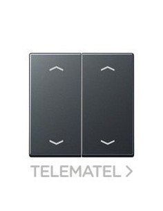 TECLA PULS.2 FS.VISOR/SIMB.ANTR.MT