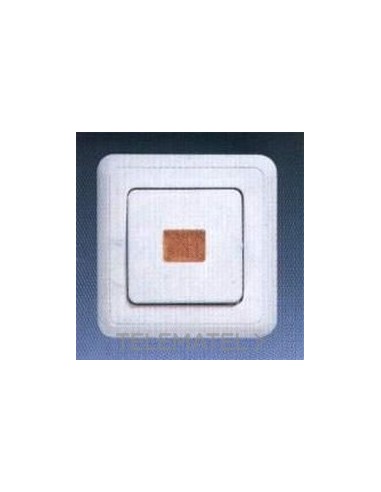 PLACA BASC.CTROL.CTRAL.BL ALP.